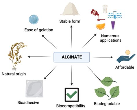  Alginate: Bir Deniz Yosunu Mucizesi Olarak Biyouyumlu Uygulamalar ve Üretim Süreci!