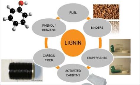 Lignin Doğranmış Ahşap Ürünlerinde Biyo-Kompozit Uygulamalarında Kullanım Alanları Buluyor Mu?